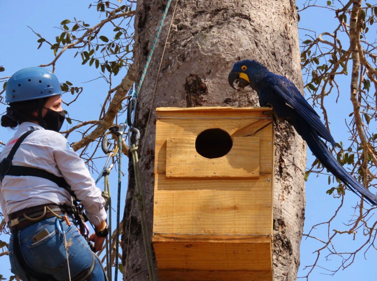 Feltarbeider sjekker reir og pappegøye